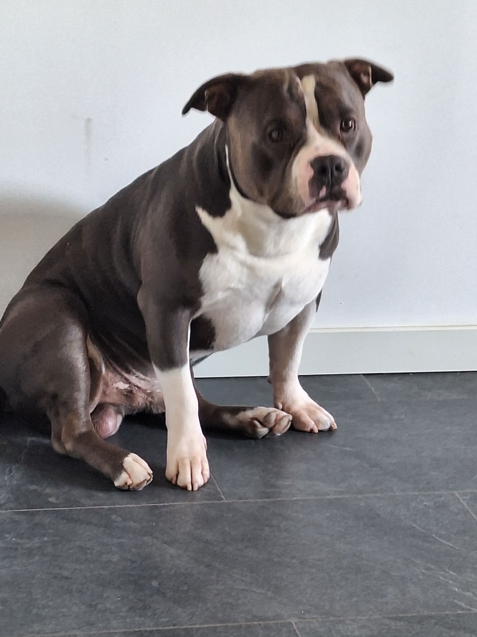 Mika  2