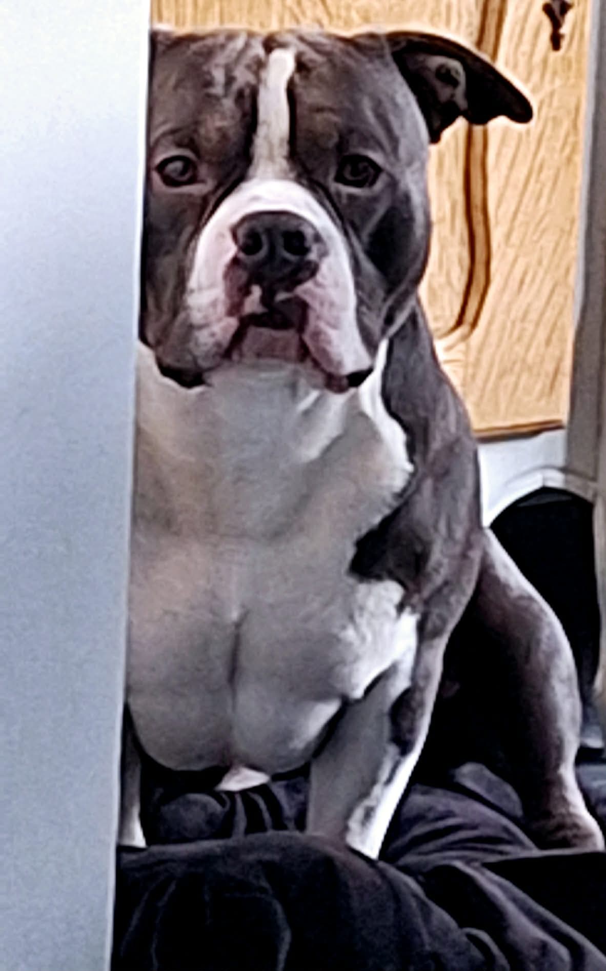 Mika  3