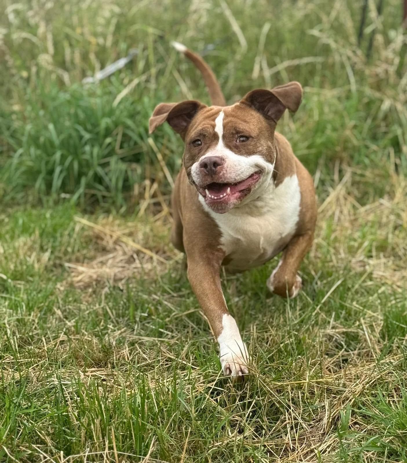 Murfy 3