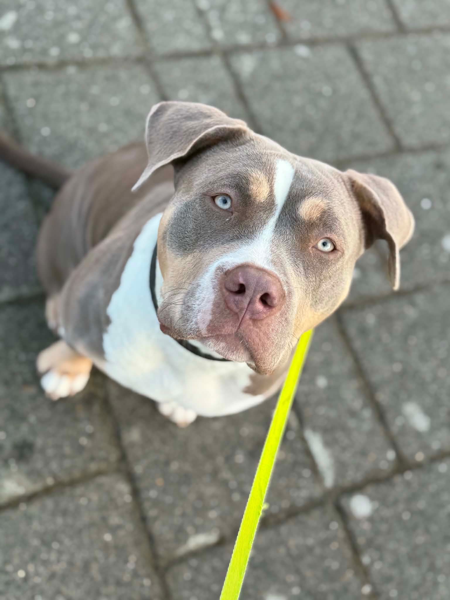Fay 2