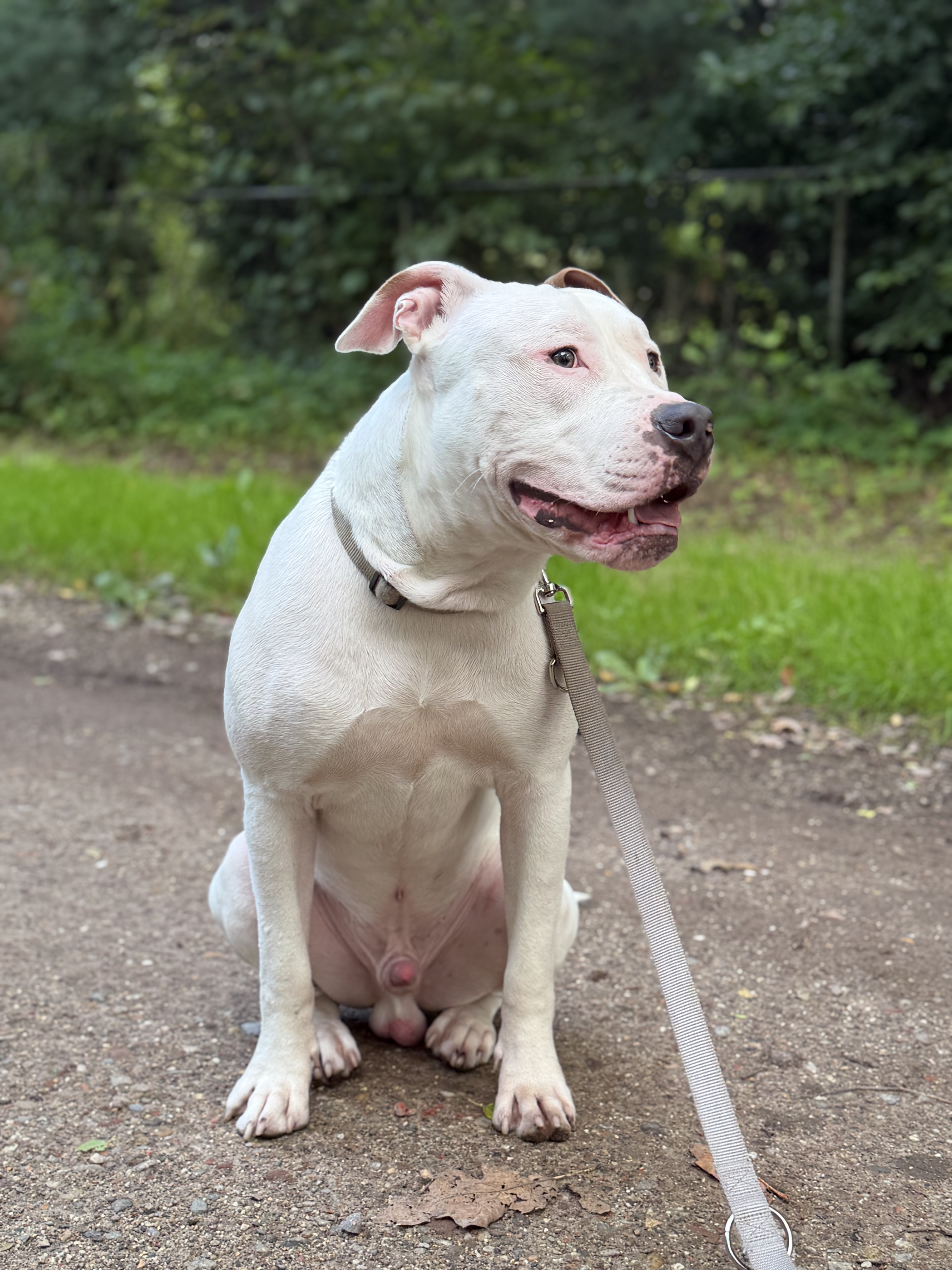 Jaxx  4