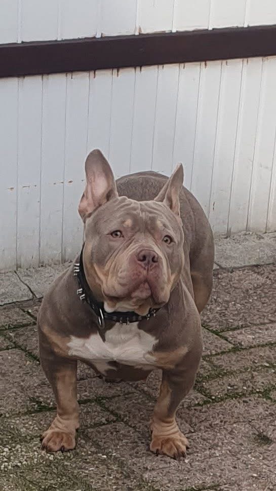 Lola 2