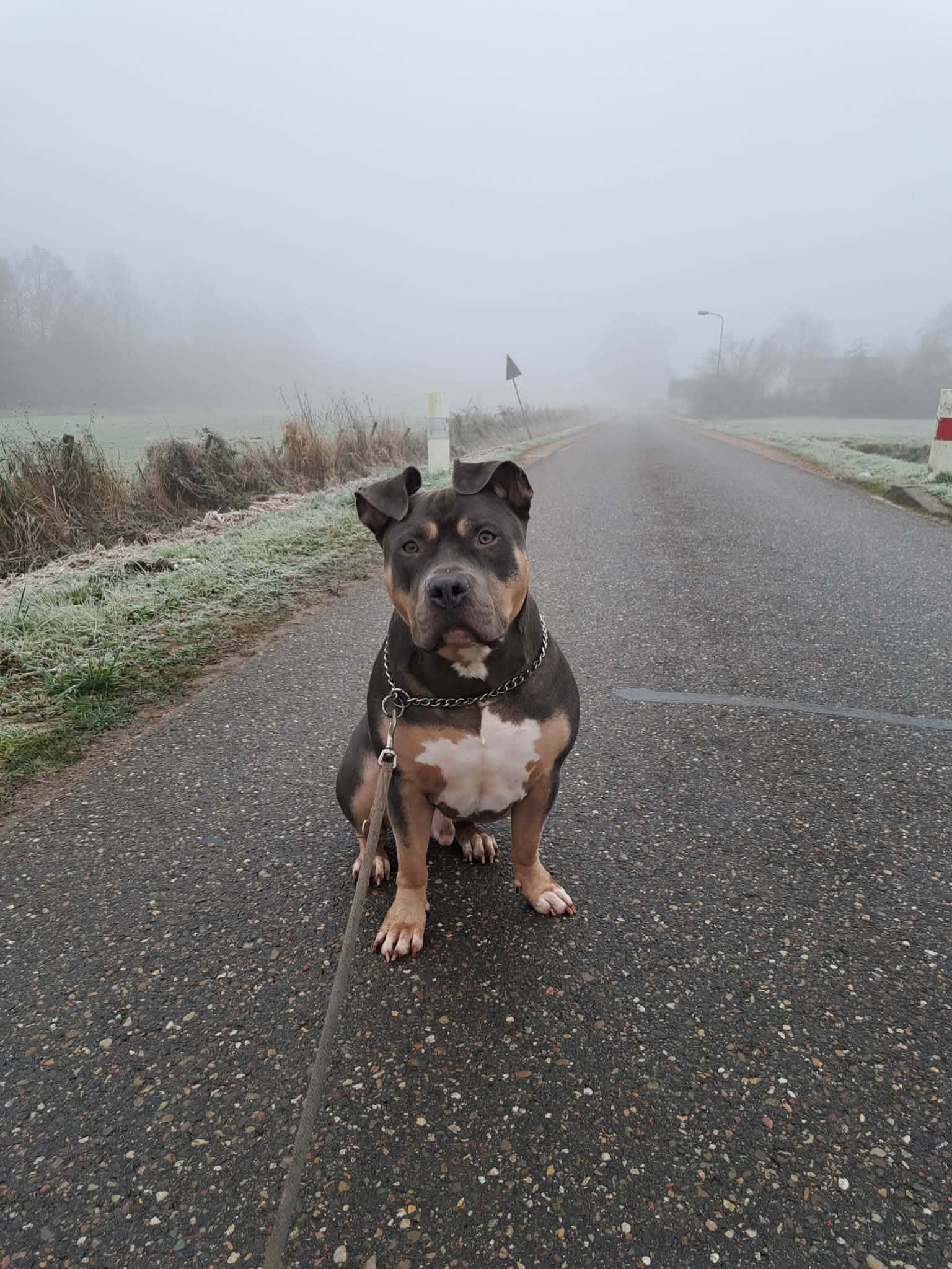 Mack 2